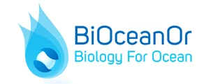 Bio Ocean OR
